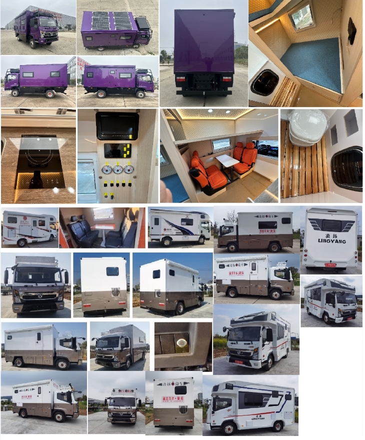 凌揚牌LYP5069XLJ旅居車公告圖片