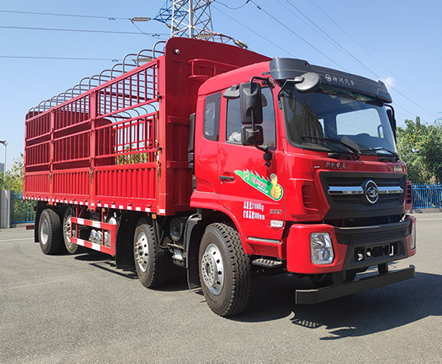 神河聯(lián)達(dá)牌ESH5312CCYE6LY倉柵式運(yùn)輸車