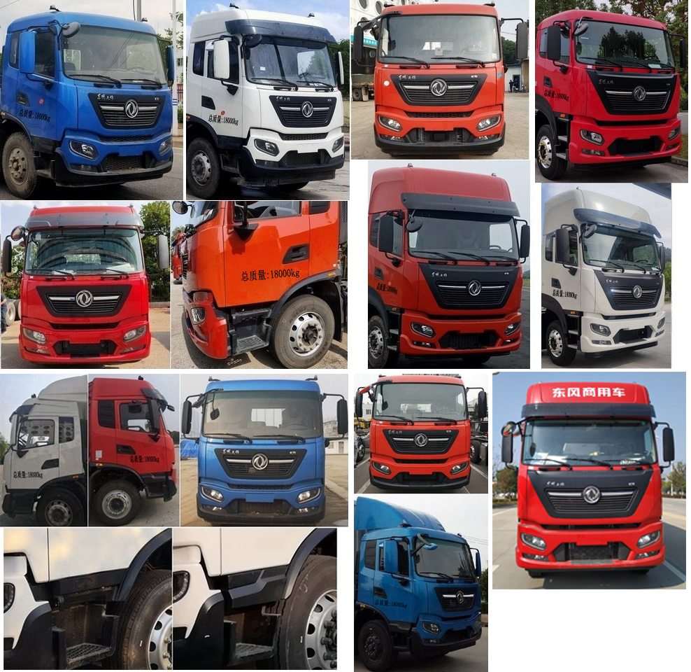 楚勝牌CSC5180XCQD6雛禽運輸車公告圖片