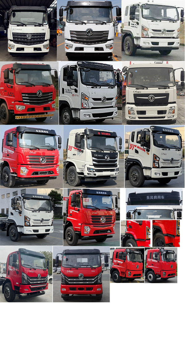 衡霸牌YYD5162GPSD6綠化噴灑車公告圖片