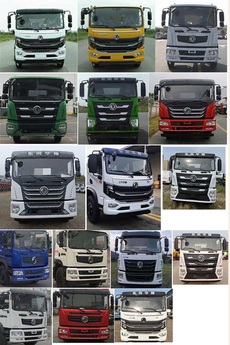 天運(yùn)威牌TYW5161GPSDJ6綠化噴灑車公告圖片