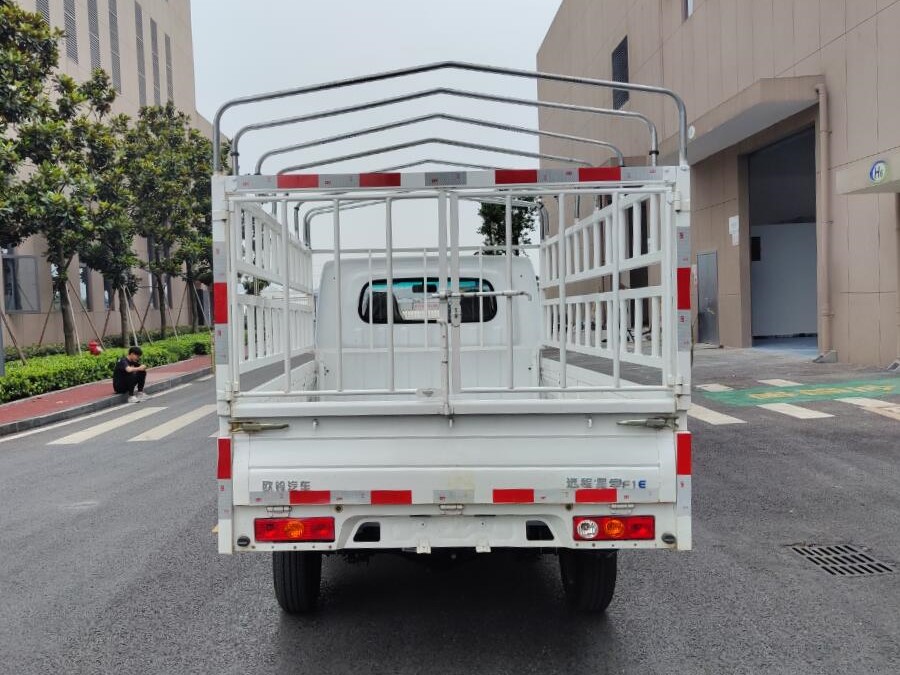 遠程牌ZB5031CCYBEVGDD6純電動倉柵式運輸車公告圖片