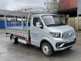 长安牌SC5031CCYDCAEBEV纯电动仓栅式运输车