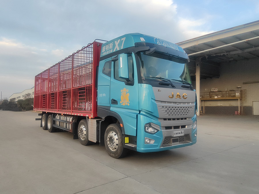 江淮牌HFC5324CCQP1K6H43S畜禽運輸車公告圖片