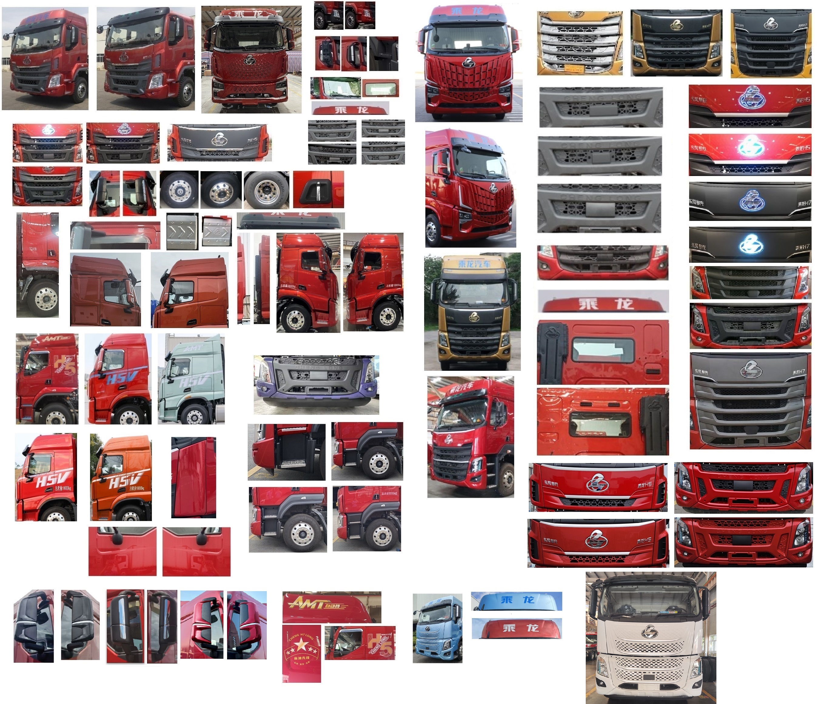 乘龍牌LZ5180XCQH5AC1雛禽運(yùn)輸車公告圖片