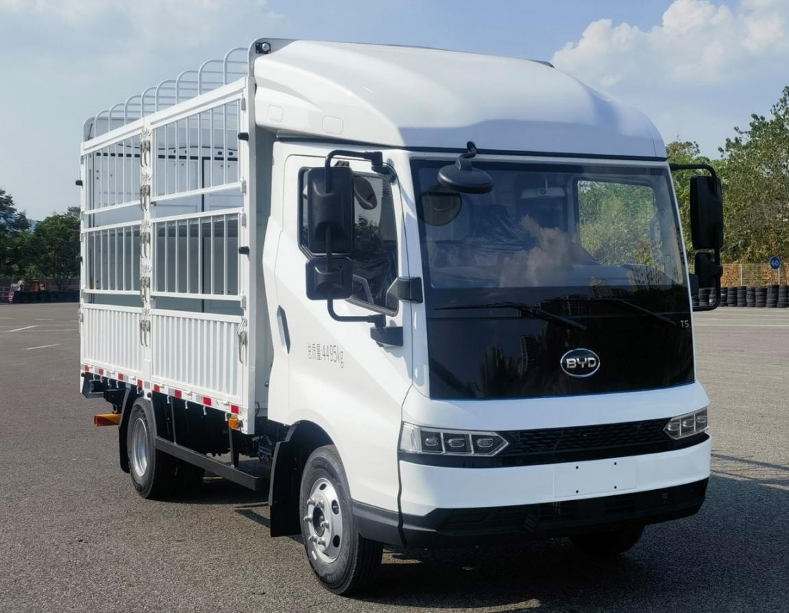 比亞迪牌BYD5040CCYBEV2純電動(dòng)倉(cāng)柵式運(yùn)輸車公告圖片