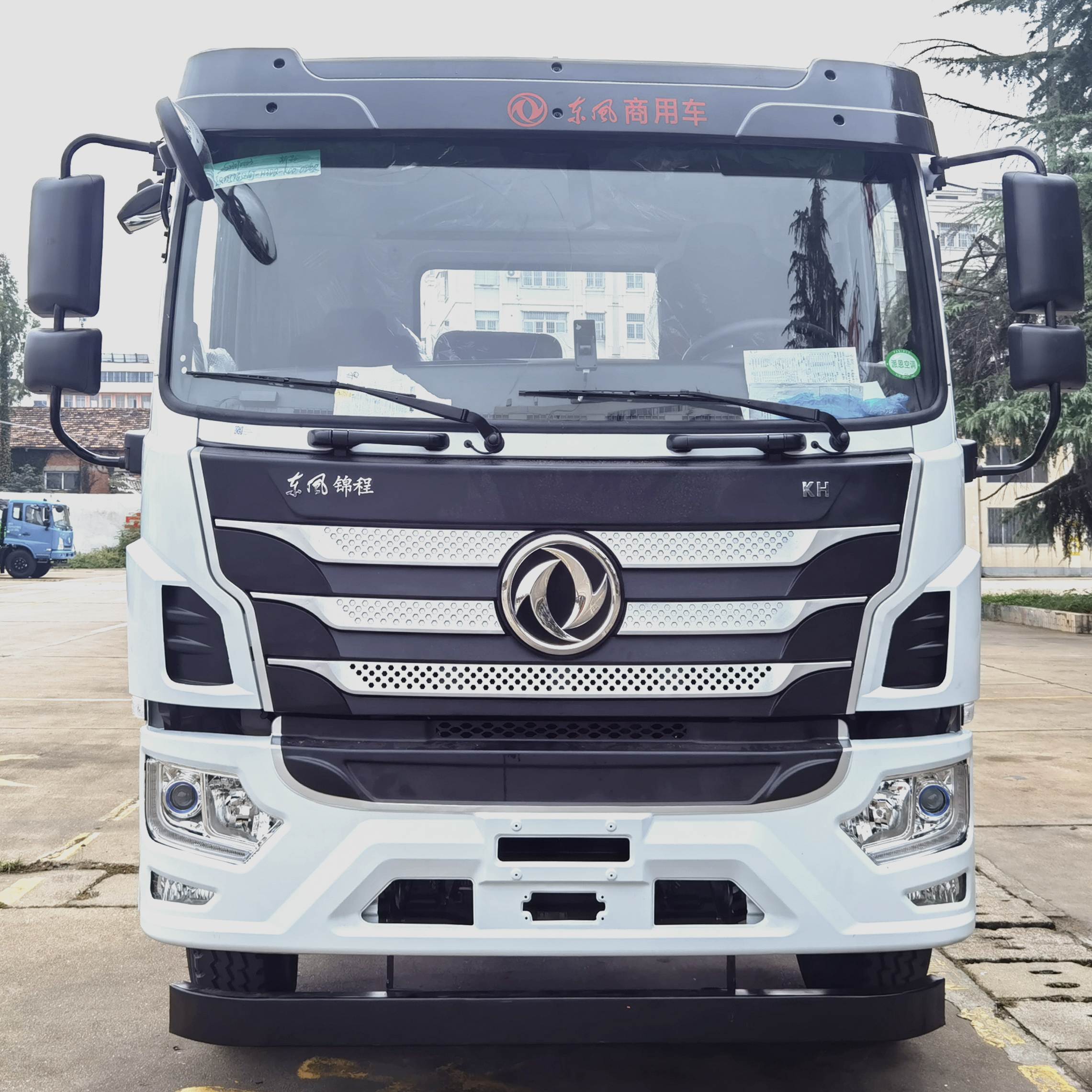 炎帝牌SZD5310ZWXEQ6污泥自卸車公告圖片