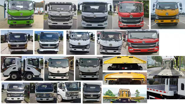 長興德龍牌ZZZ5040TQZL6清障車公告圖片