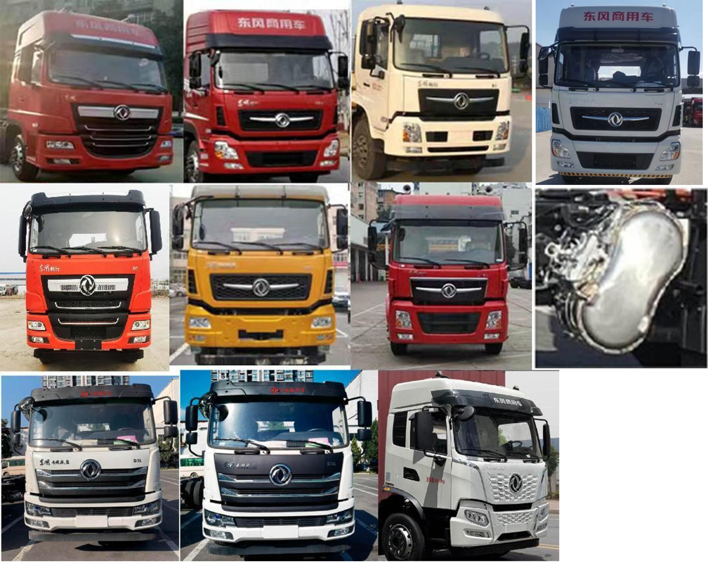 潤知星牌SCS5311GSYDFV6食用油運輸車公告圖片