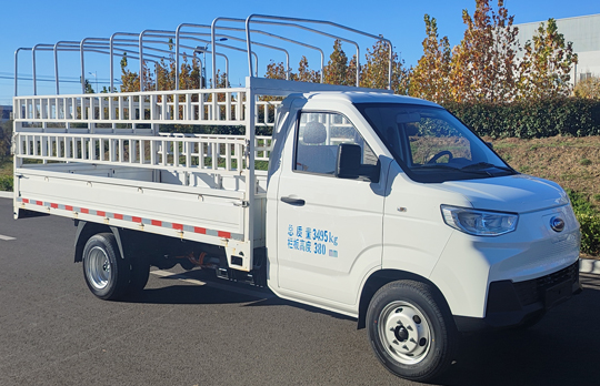 開(kāi)瑞牌SQR5033CCYBEVH31純電動(dòng)倉(cāng)柵式運(yùn)輸車(chē)公告圖片