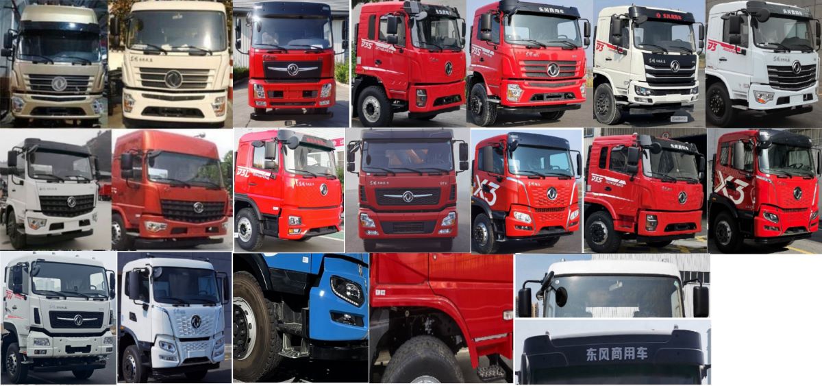 凱瑞華牌KRH5250XCQD6雛禽運輸車公告圖片