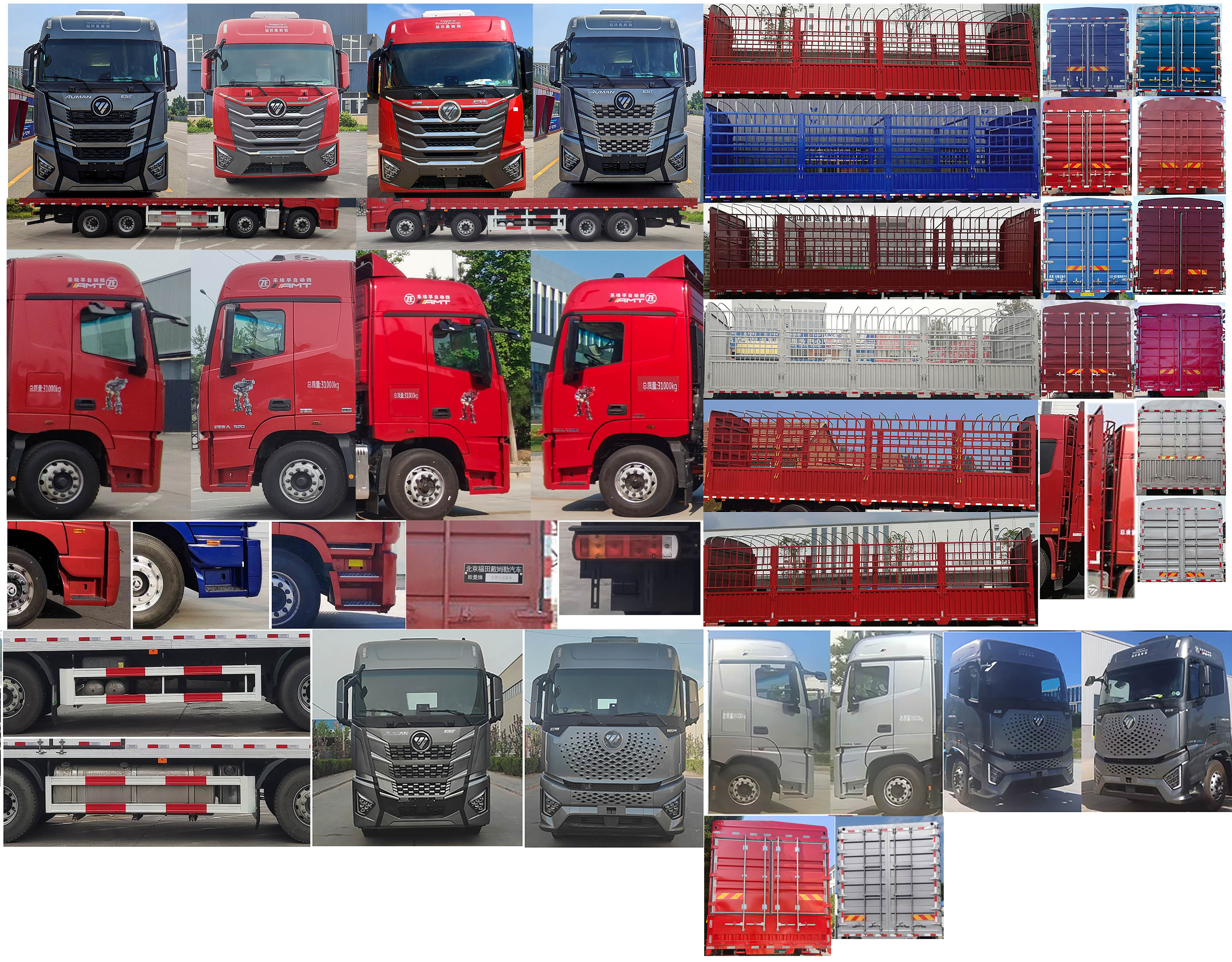 歐曼牌BJ5319CCYY6GRL-01倉(cāng)柵式運(yùn)輸車公告圖片