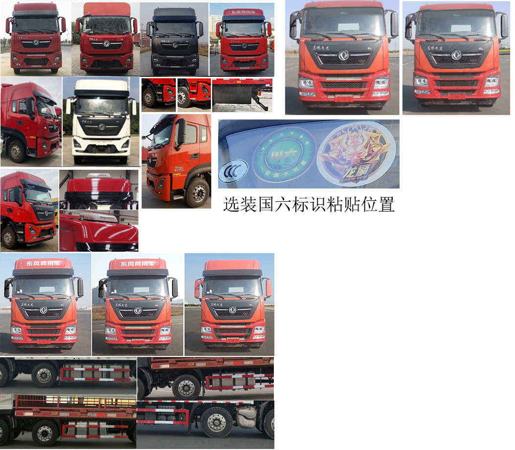 東風(fēng)牌DFH5310CCQDX畜禽運(yùn)輸車公告圖片