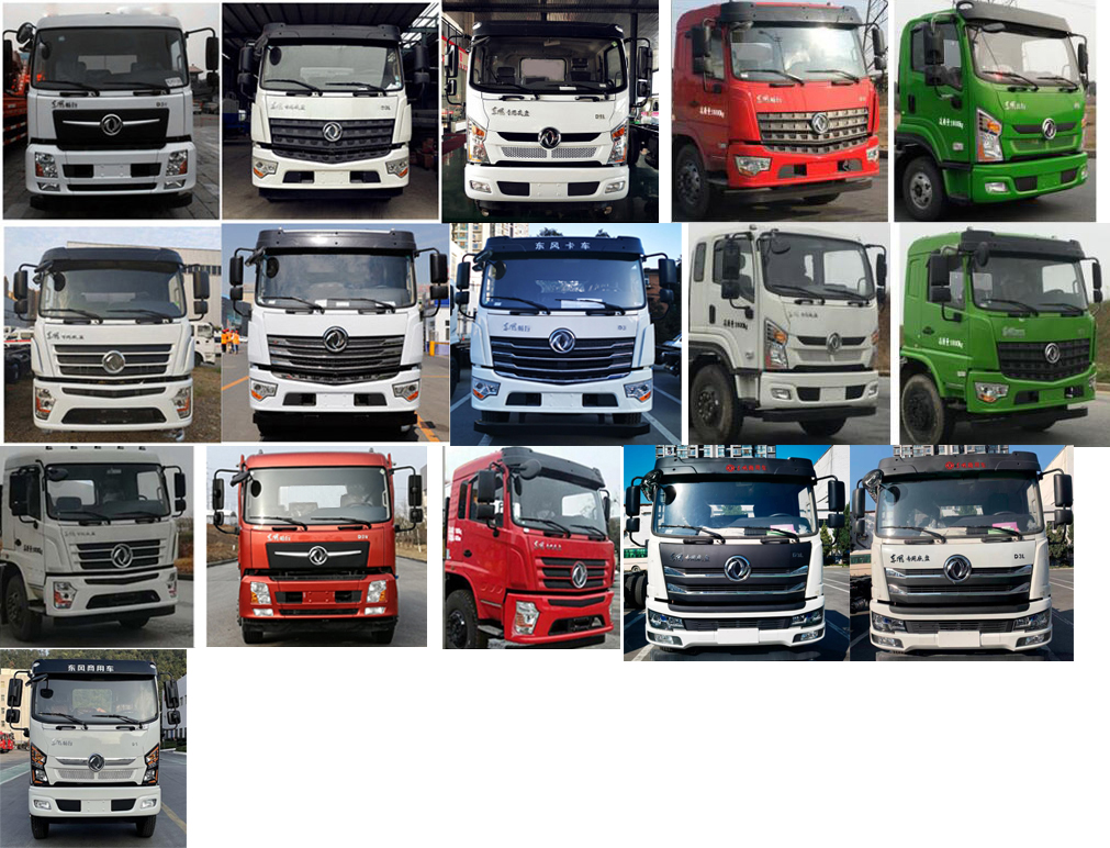 東環(huán)威牌JDH5163GPSEZ6綠化噴灑車公告圖片