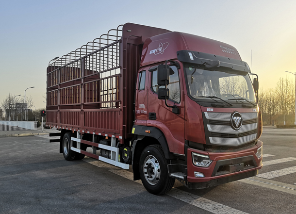 歐曼牌BJ5181CCYY6AKL-01倉(cāng)柵式運(yùn)輸車(chē)公告圖片