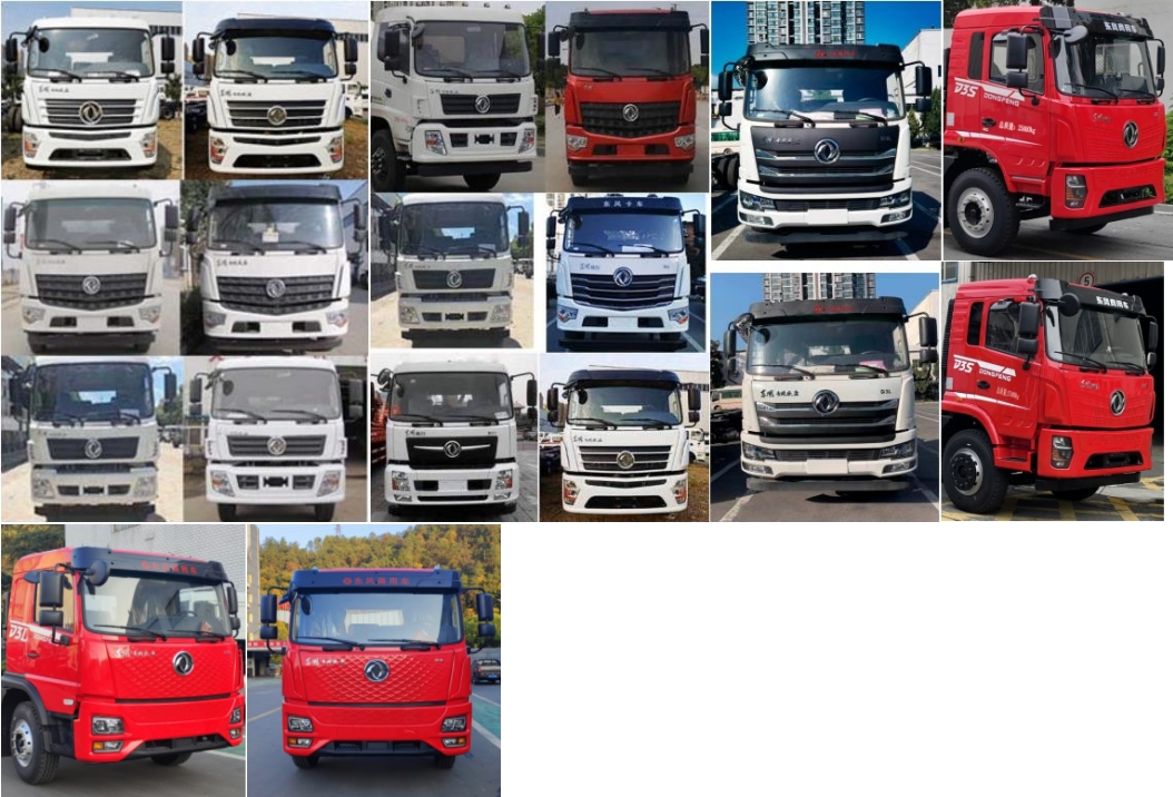 旺龍威牌WLW5253ZWXDFV污泥自卸車公告圖片