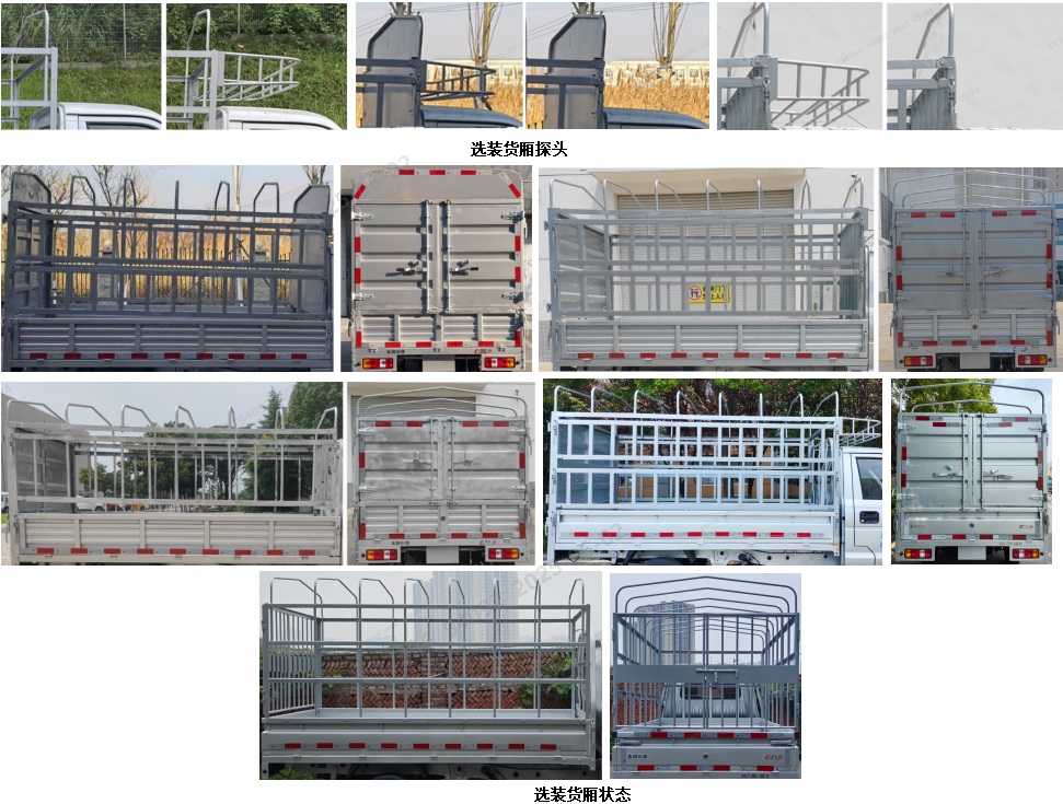 倉(cāng)柵式運(yùn)輸車圖片