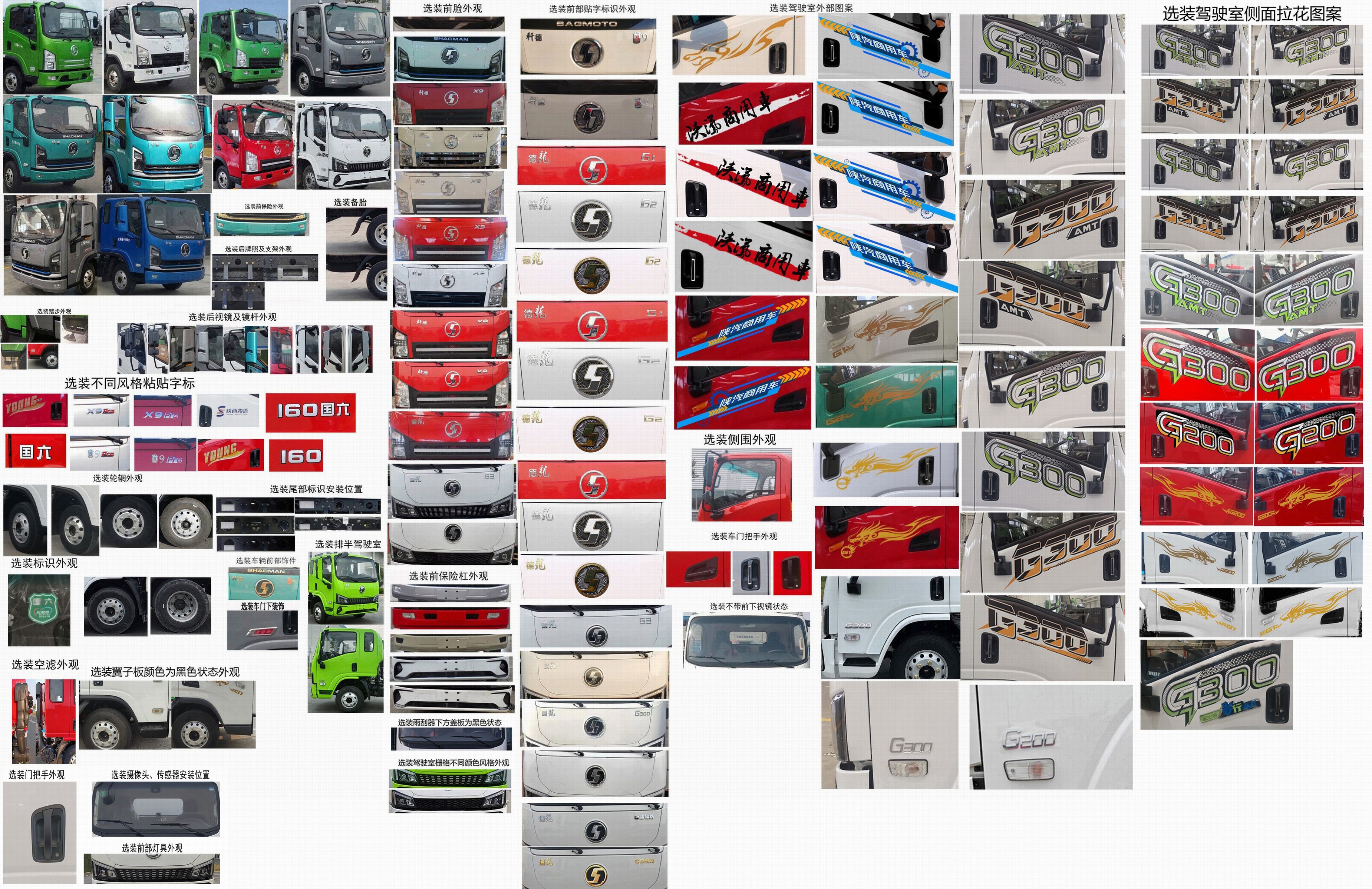 陜汽牌SX5041TPBNP6331平板運(yùn)輸車公告圖片