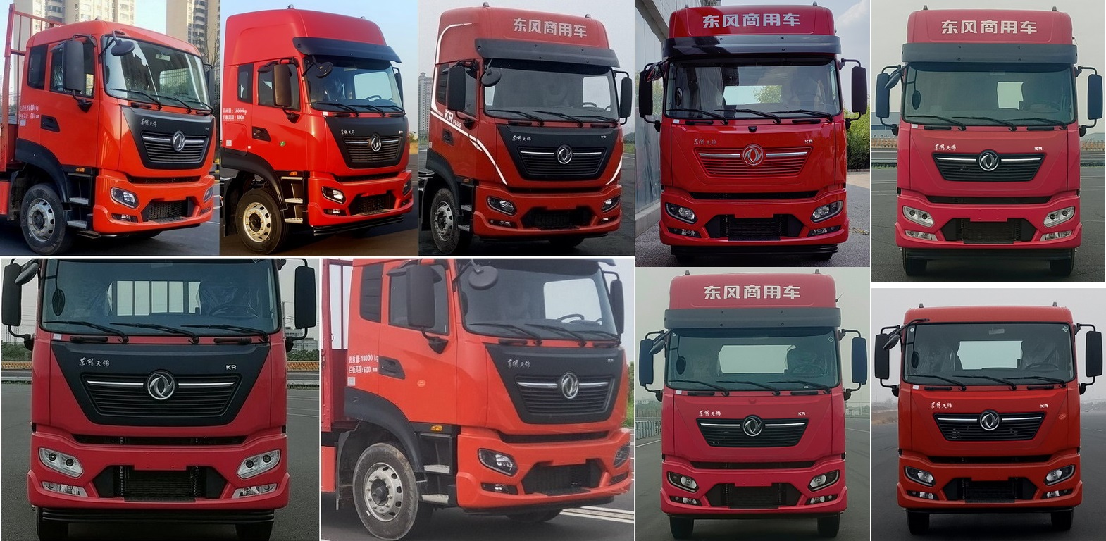 龍牧雙星牌LMX5250XCQDF6雛禽運輸車公告圖片