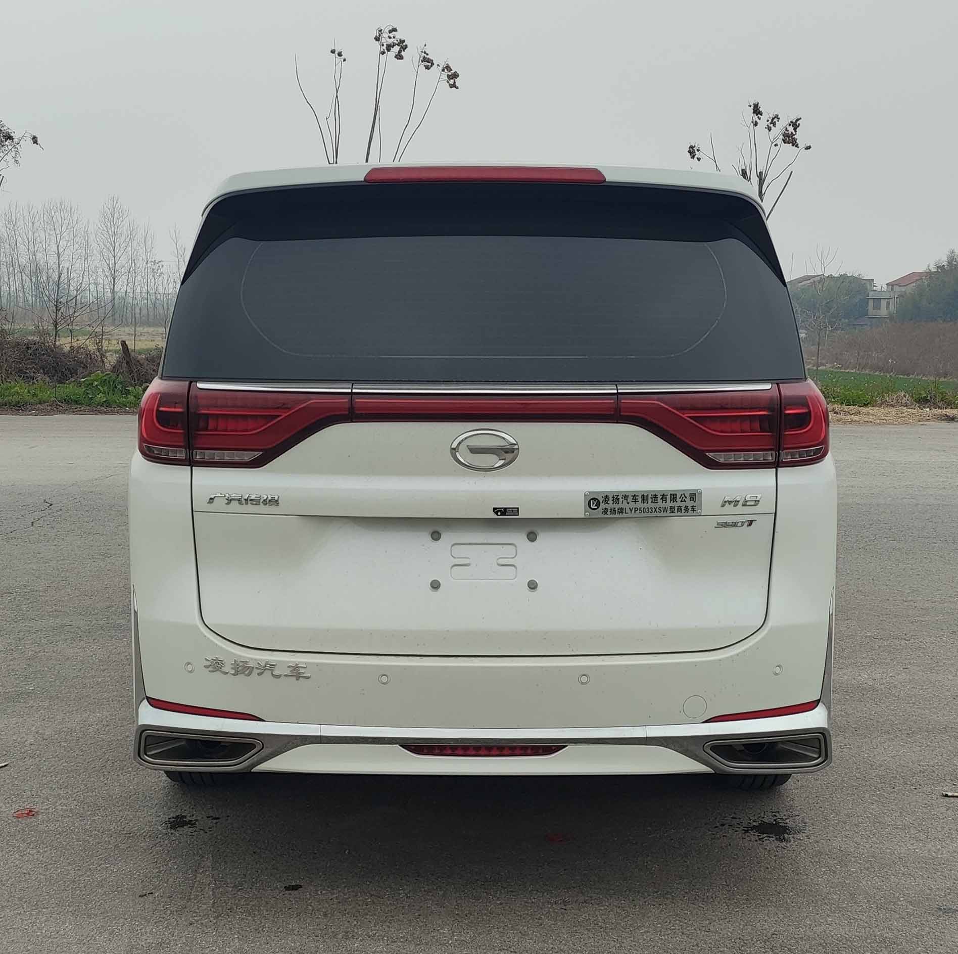 凌揚(yáng)牌LYP5033XSW商務(wù)車公告圖片