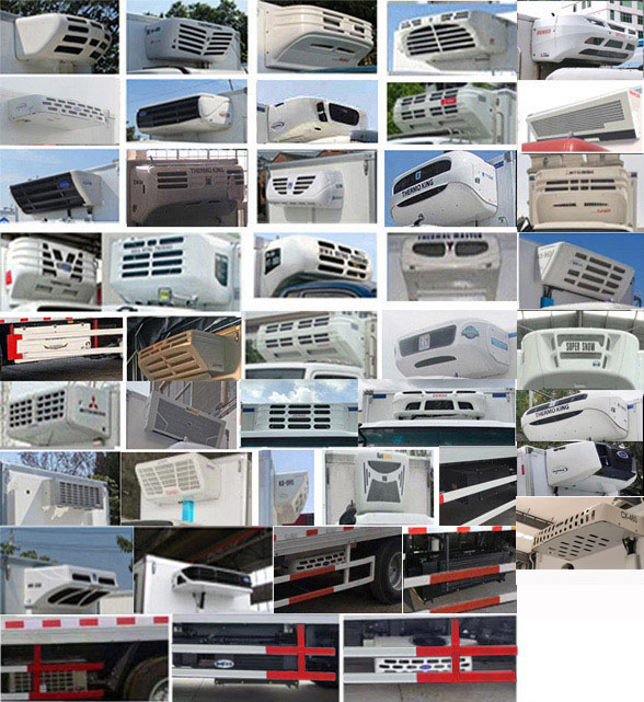 飛球牌ZJL5045XYYQ6醫(yī)療廢物轉(zhuǎn)運車公告圖片