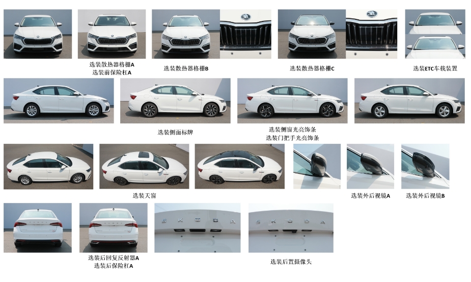 邁越牌AAR5021XGJ工具車公告圖片