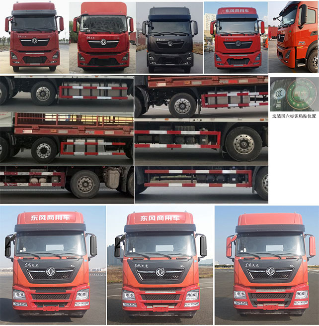 東風(fēng)牌DFH5310CCQDX1畜禽運輸車公告圖片