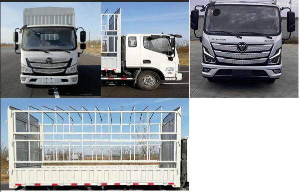 福田牌BJ5088CCY-F3倉柵式運(yùn)輸車公告圖片