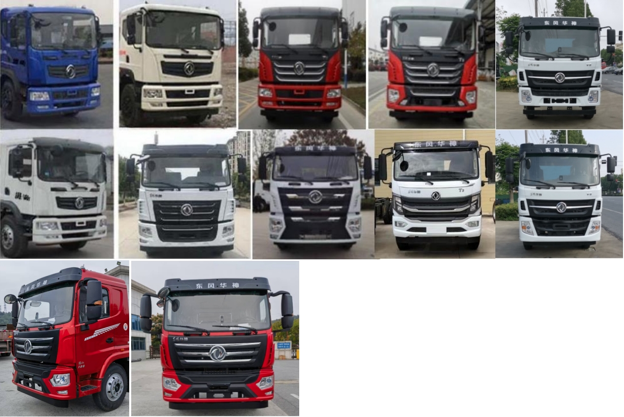 旺龍威牌WLW5160ZBSD擺臂式垃圾車(chē)公告圖片