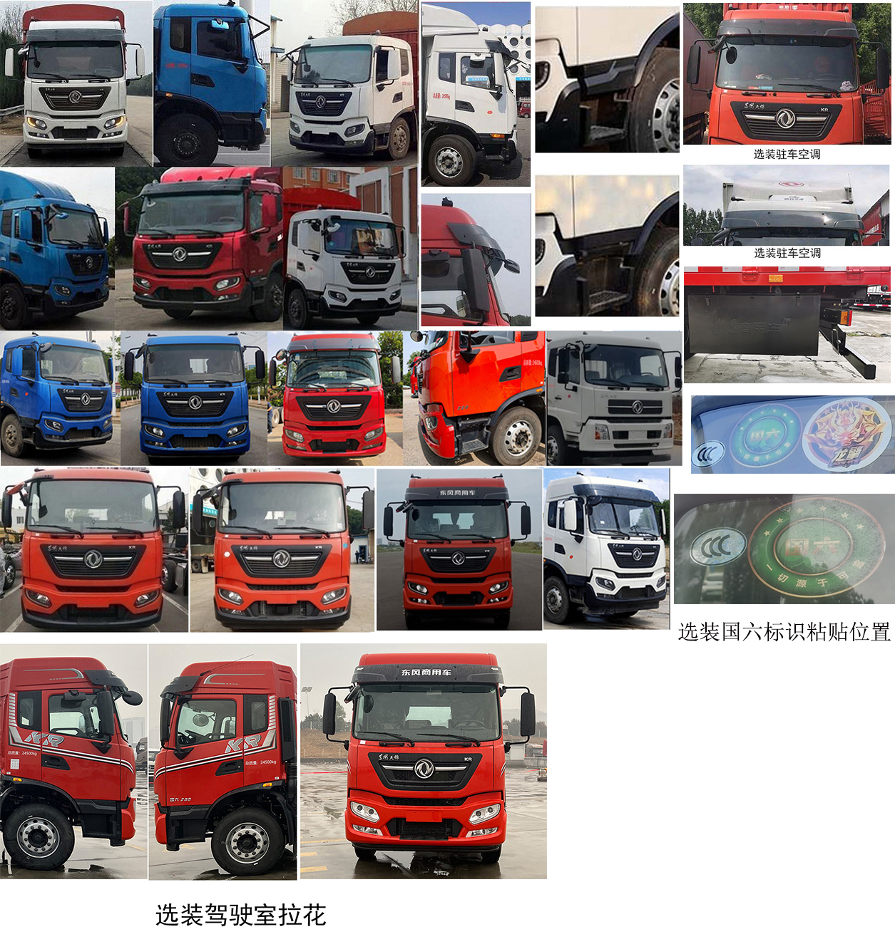 東風牌DFH5240CCQEX畜禽運輸車公告圖片