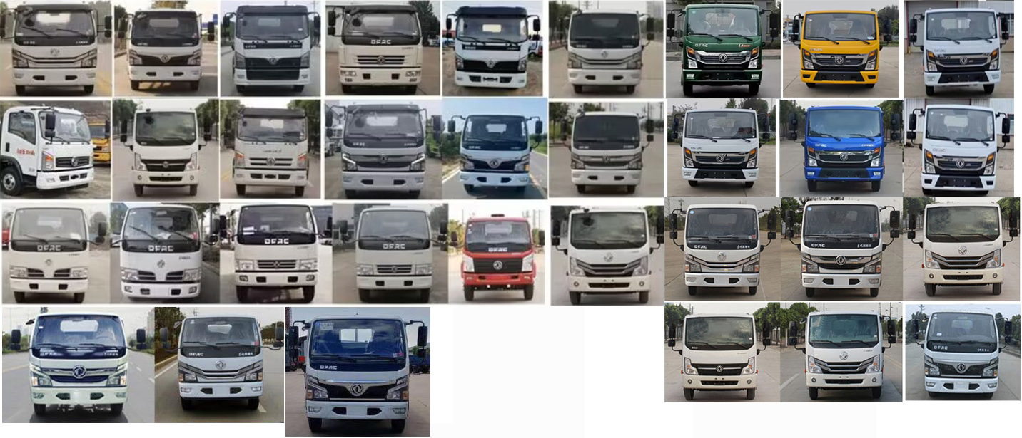 東風(fēng)股份多利卡D6 WLW5070ZBSE擺臂式垃圾車公告圖片