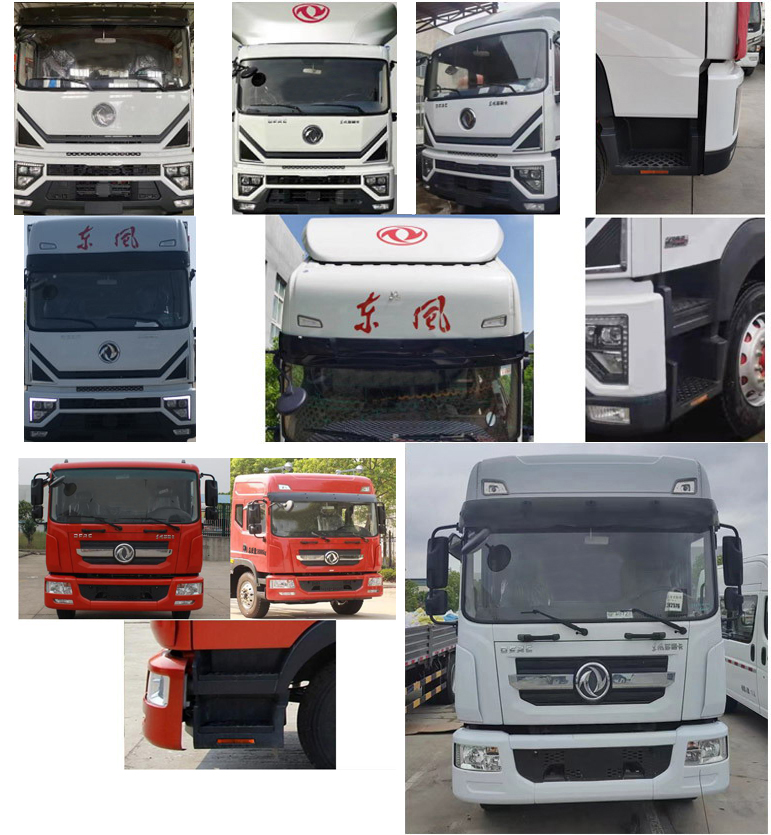 瑞力星牌RLQ5185ZYSE6壓縮式垃圾車公告圖片