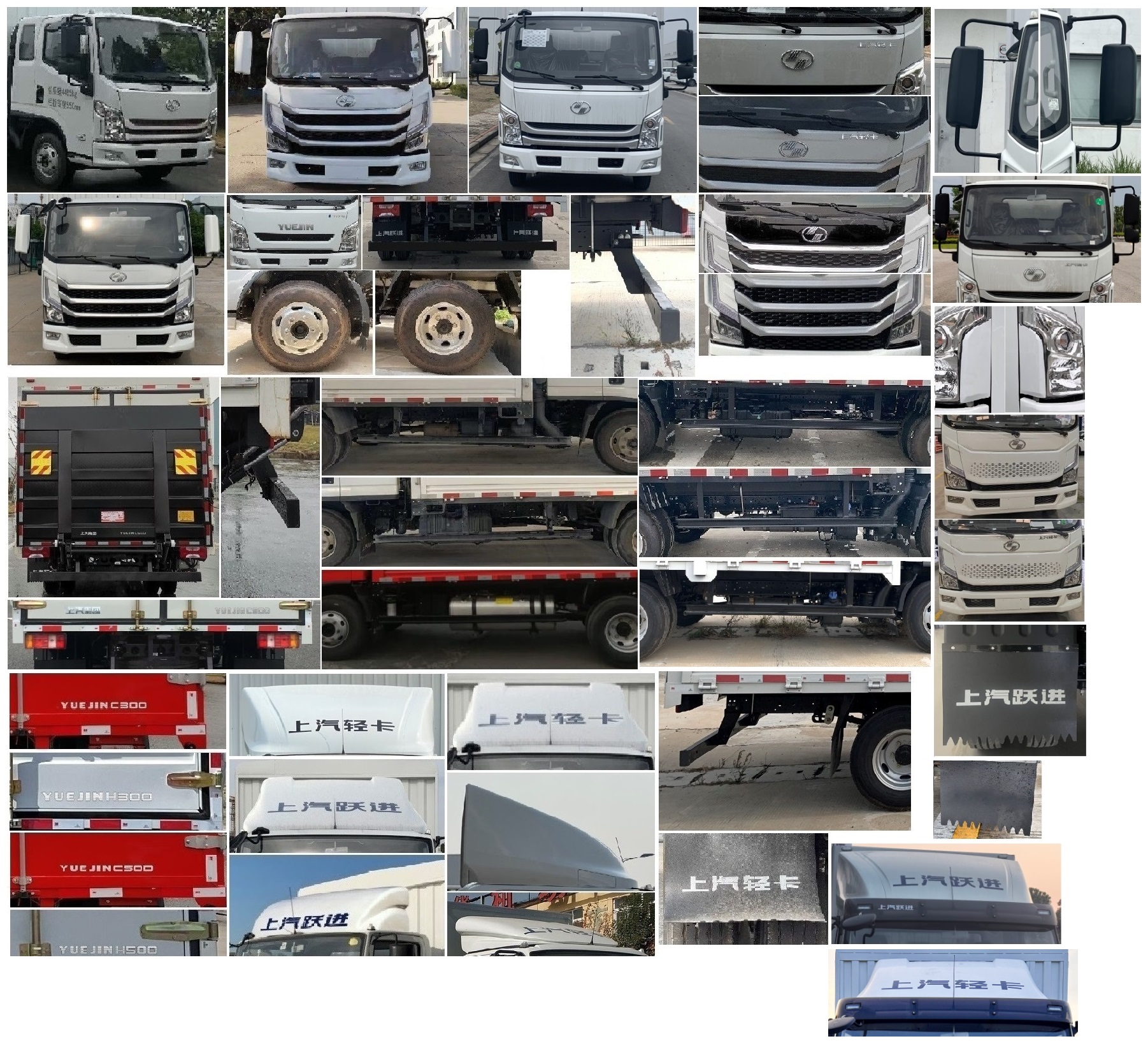 躍進牌SH5043CCYZFDDWZ3倉柵式運輸車公告圖片