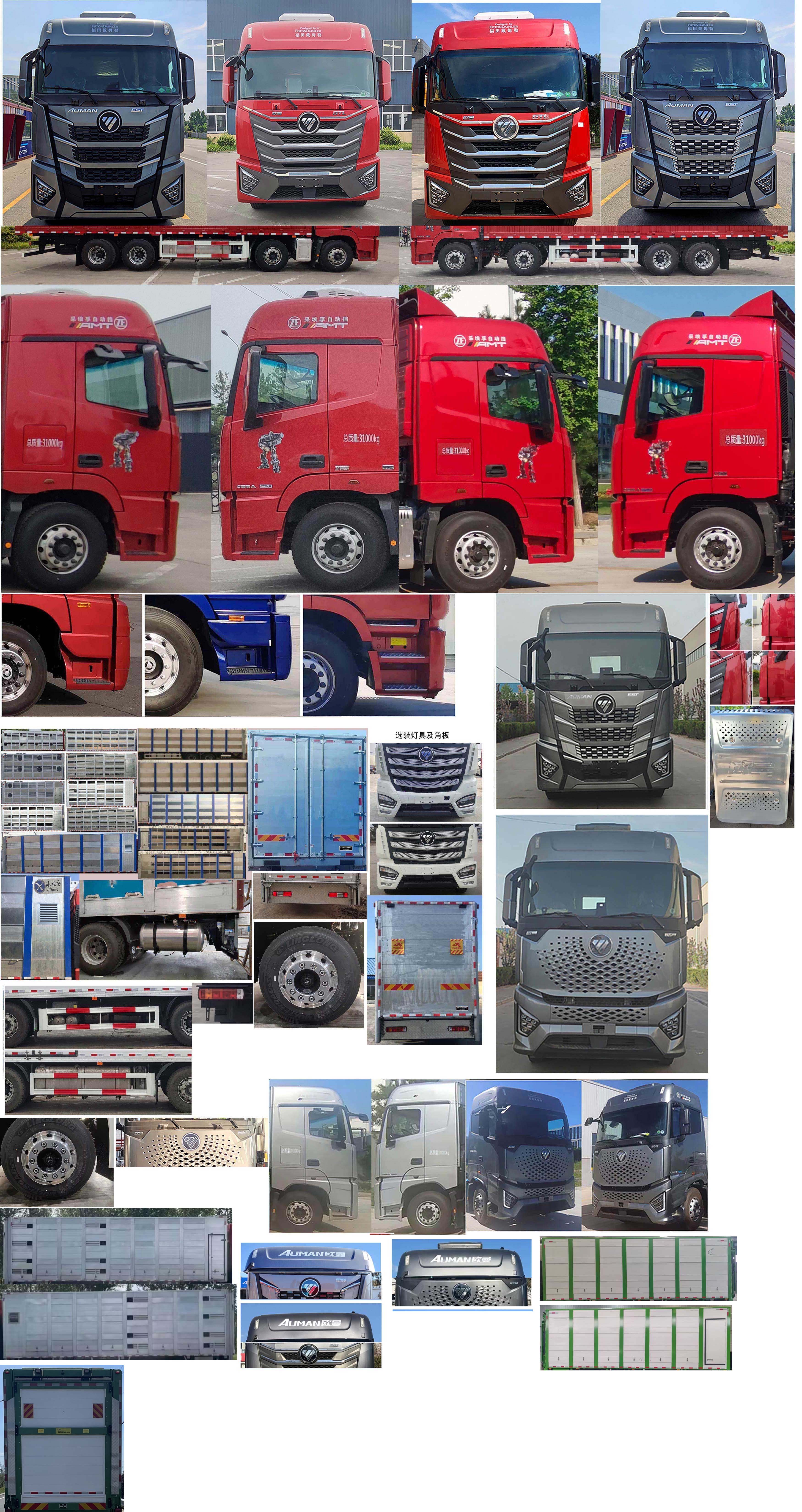 歐曼牌BJ5319XCQY6GRL-01雛禽運(yùn)輸車公告圖片