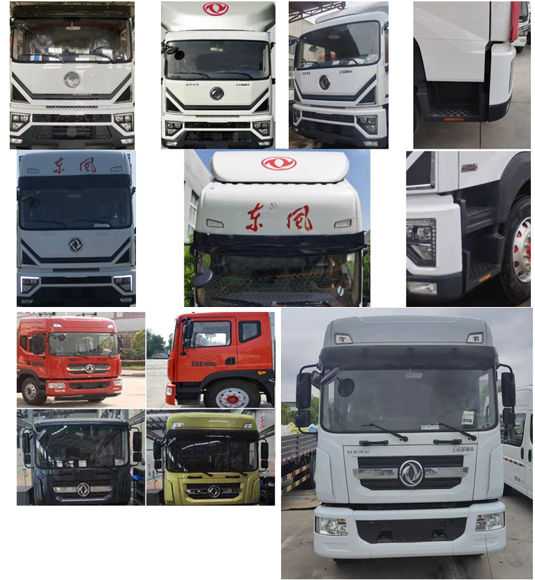 瑞力星牌RLQ5185ZXXE6車廂可卸式垃圾車公告圖片