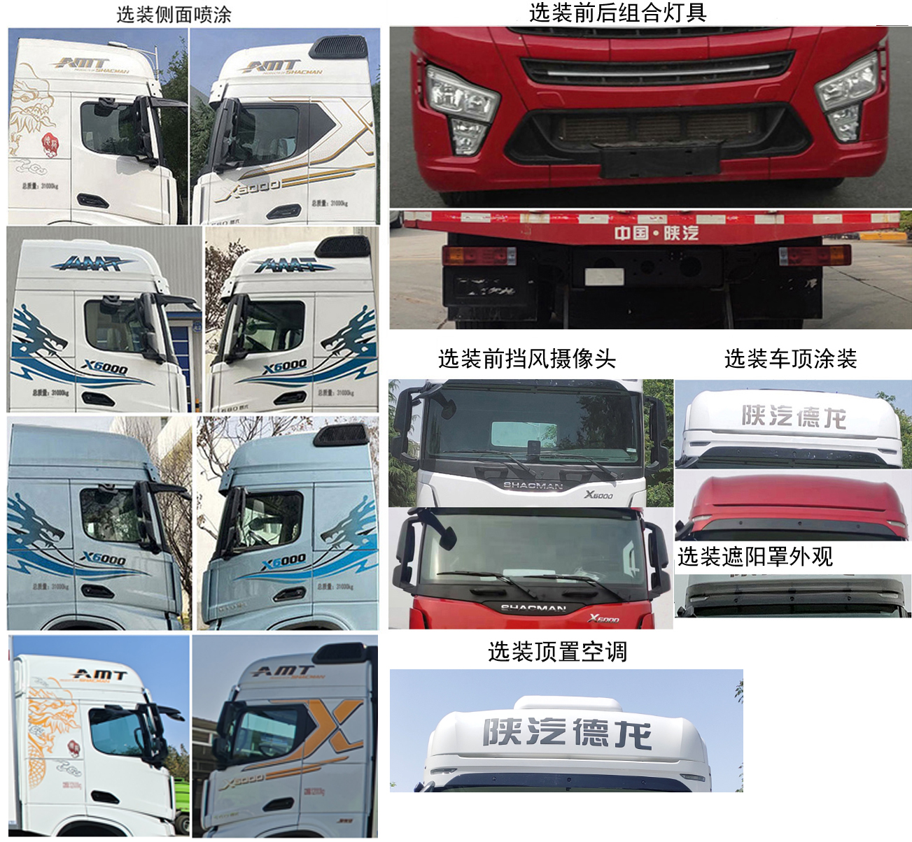 陜汽牌SX5319CCQGD456畜禽運輸車公告圖片