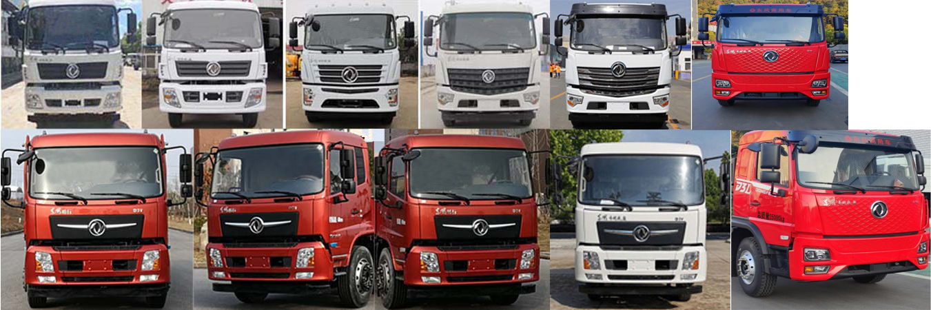 瑞力星牌RLQ5253ZYSD6壓縮式垃圾車公告圖片