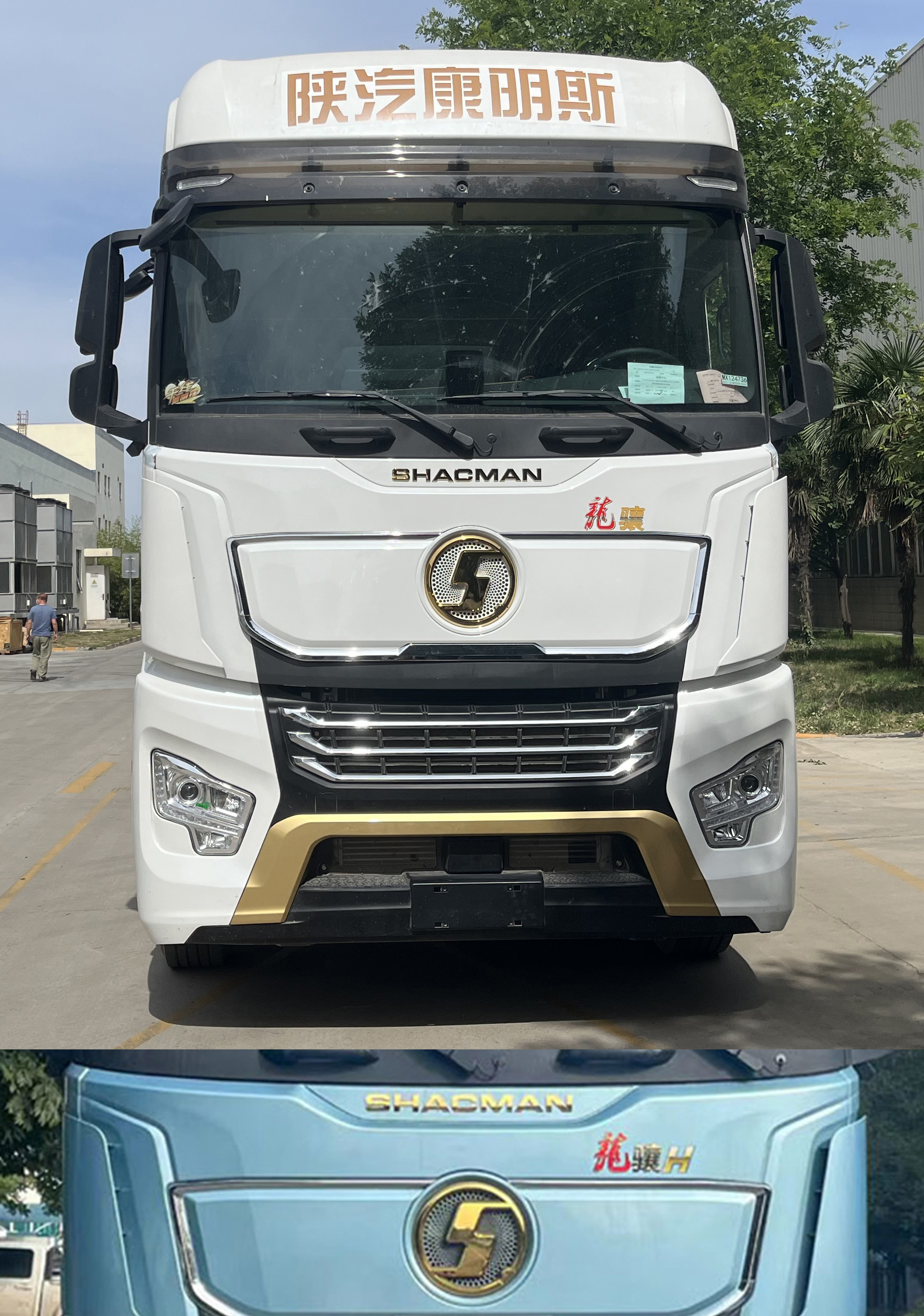 陜汽牌SX5319XXYXD456F1-S廂式運輸車公告圖片