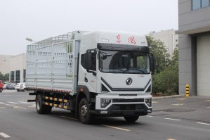 东风牌EQ5187CCYL9TDGAC仓栅式运输车
