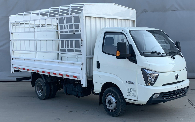 飛碟牌FD5036CCYD66K6-11倉柵式運輸車公告圖片