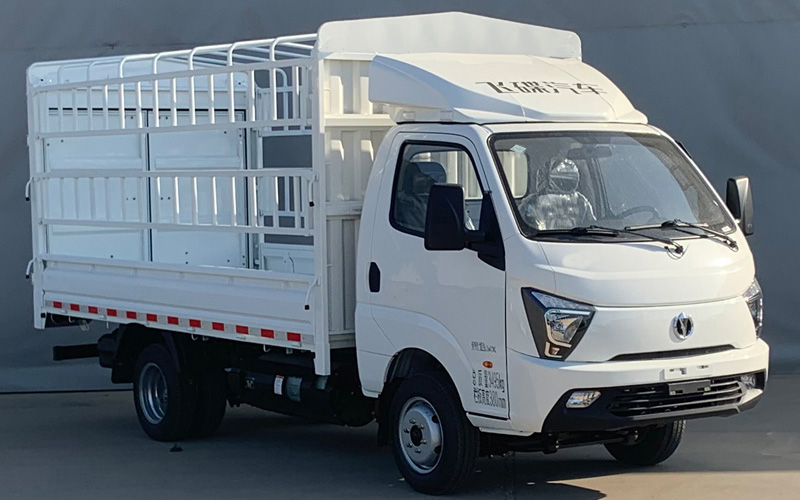 飛碟牌FD5037CCYD66K6-NG11倉(cāng)柵式運(yùn)輸車(chē)公告圖片