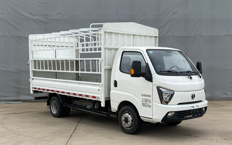 飛碟牌FD5048CCYD66K6-NG1倉柵式運輸車公告圖片