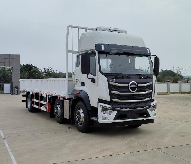 北京牌BJ1251D6BP载货汽车公告图片