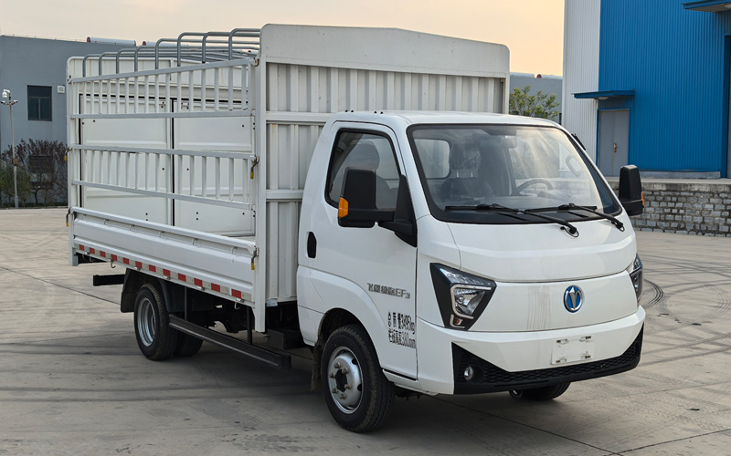 FD5031CCYD66BEV-1型純電動倉柵式運輸車圖片