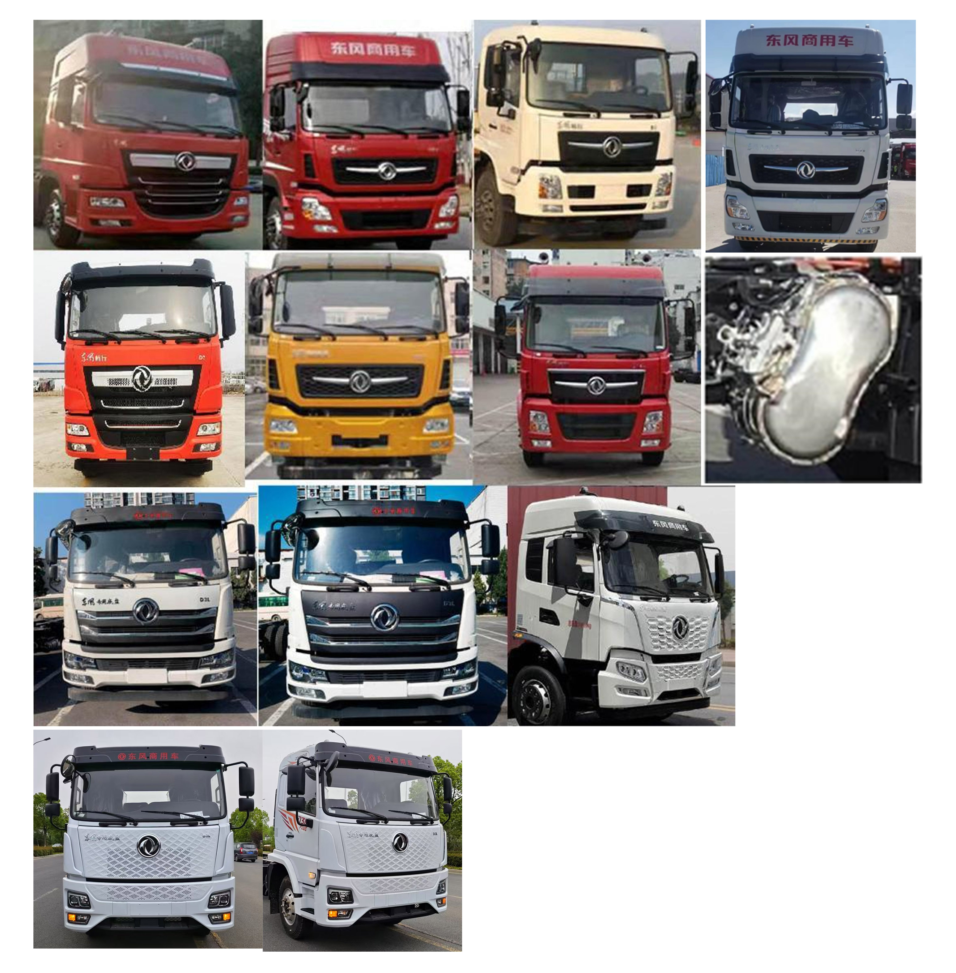 潤知星牌SCS5311GSYDFV6食用油運輸車公告圖片