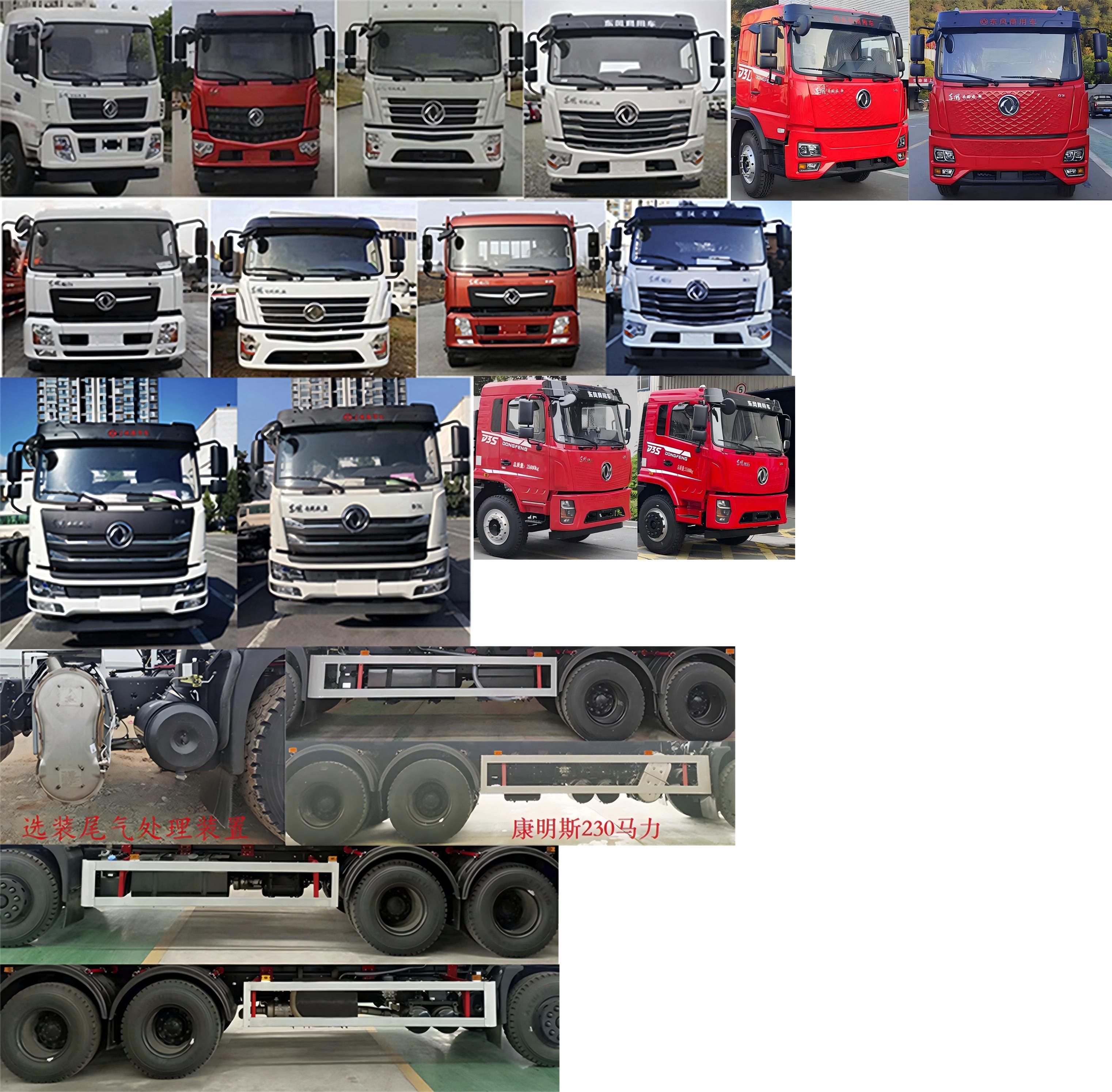 斯太隆牌HZH5253ZYSD6LH壓縮式垃圾車(chē)公告圖片