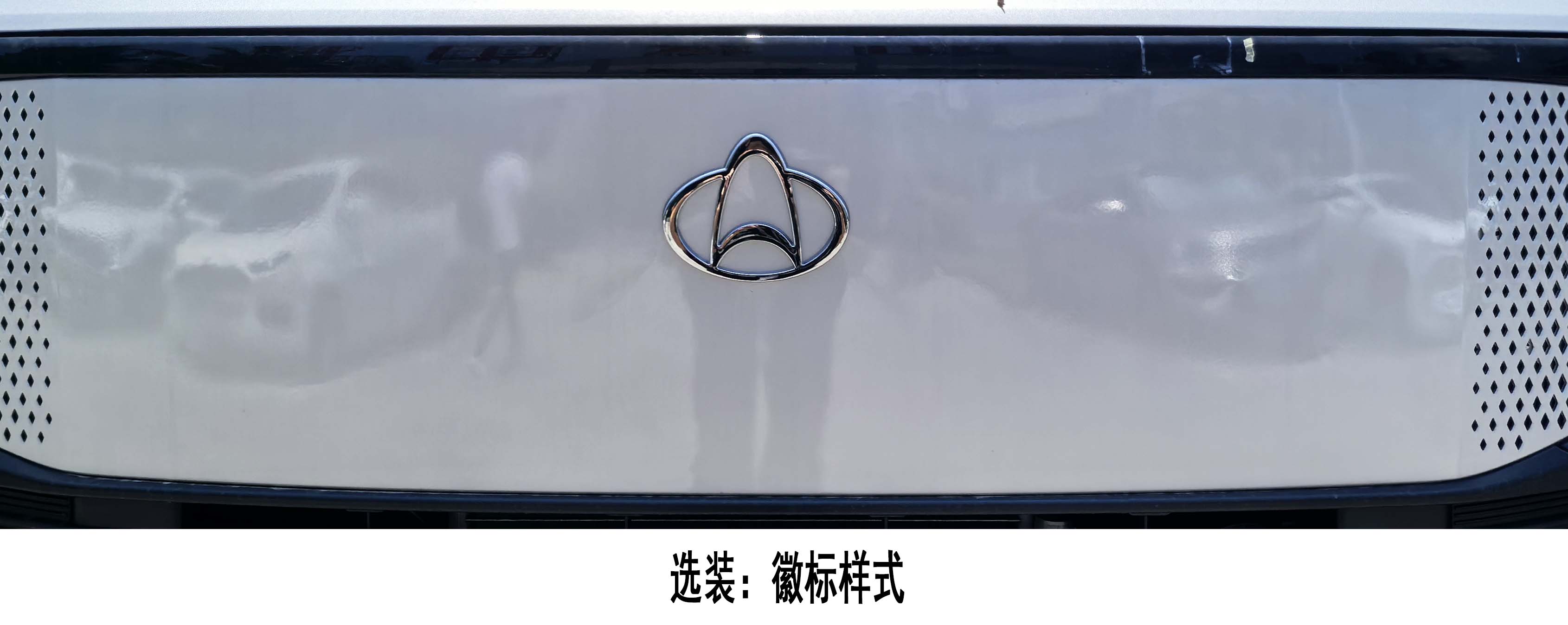 長(zhǎng)安牌CKS5032XXYX9RS6B3廂式貨車公告圖片