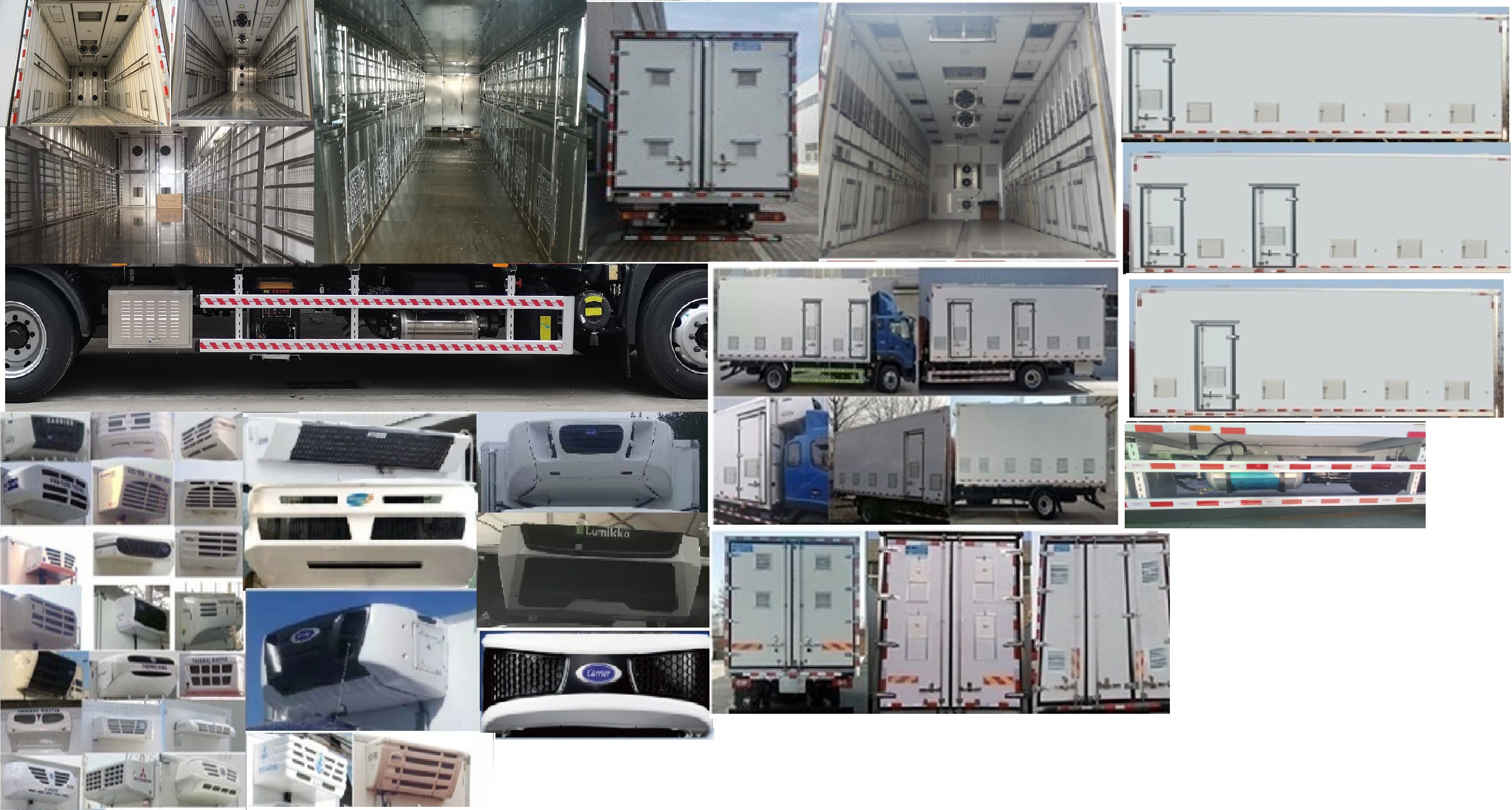 中達凱牌ZDK5184XCQ雛禽運輸車公告圖片