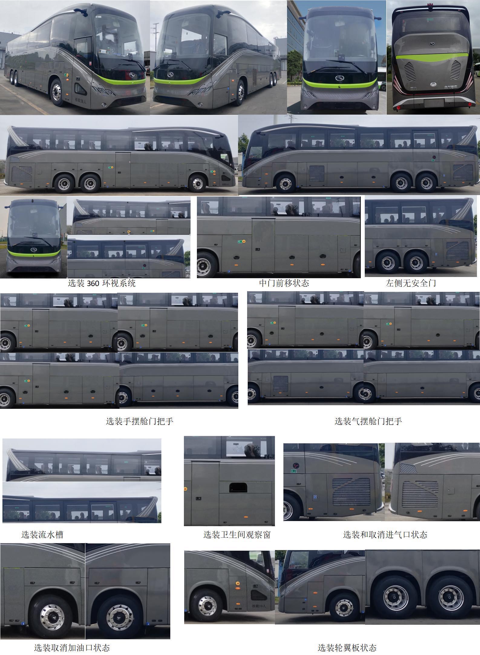 金龍牌XMQ5202XSWD商務(wù)車公告圖片