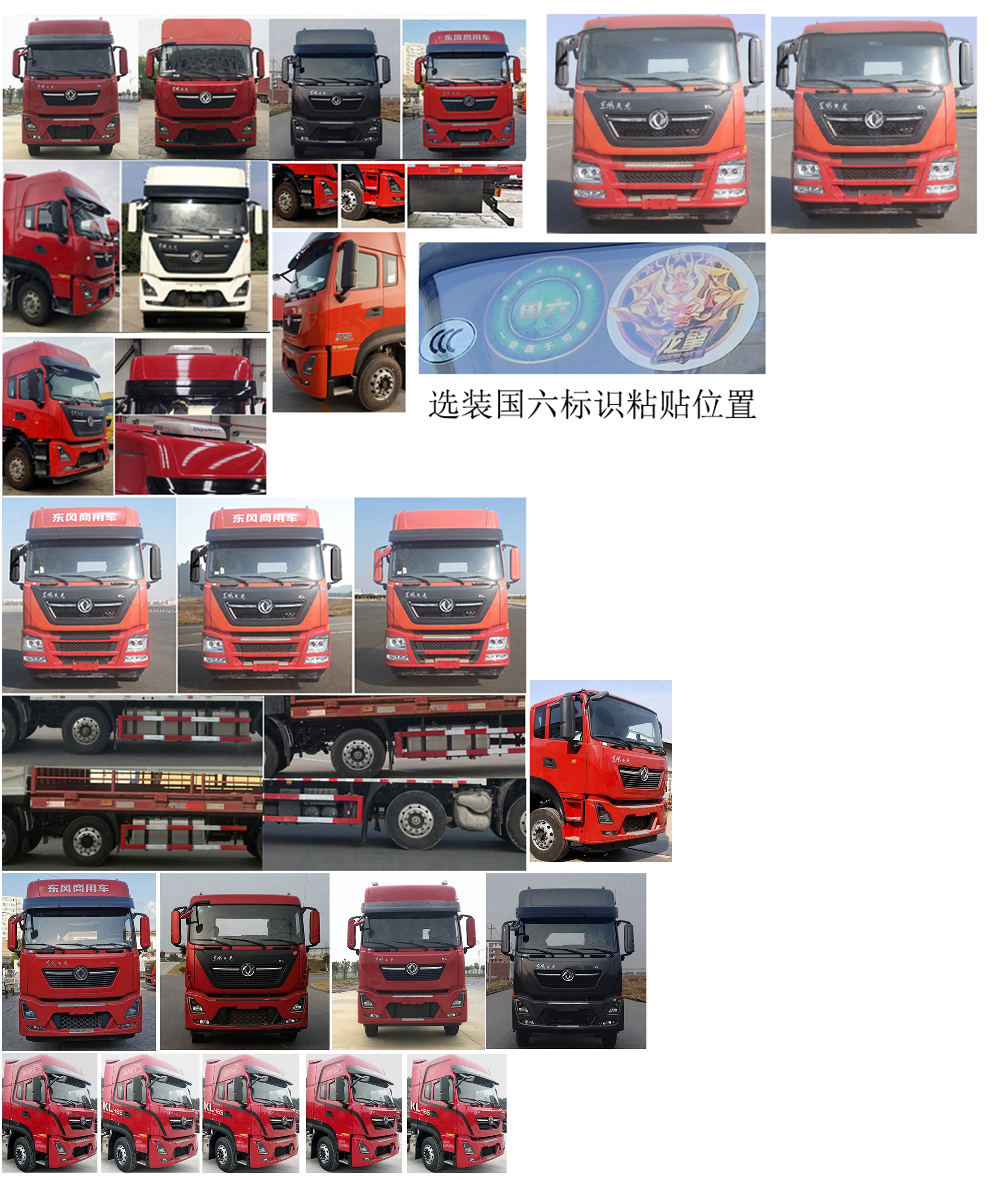 東風(fēng)牌DFH5310CCQDX畜禽運(yùn)輸車公告圖片